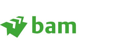 Bam logo